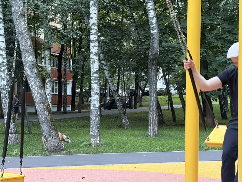 Алан